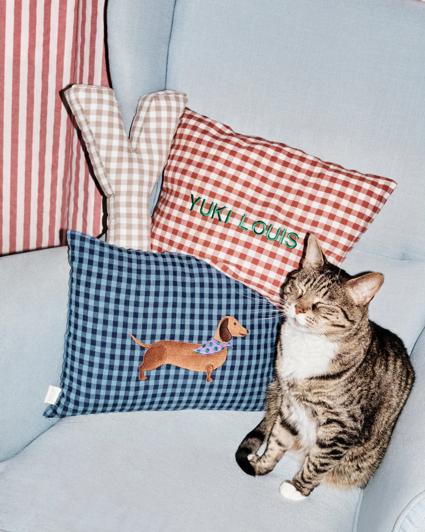CUSHION CHECKED | MISTER MARINE