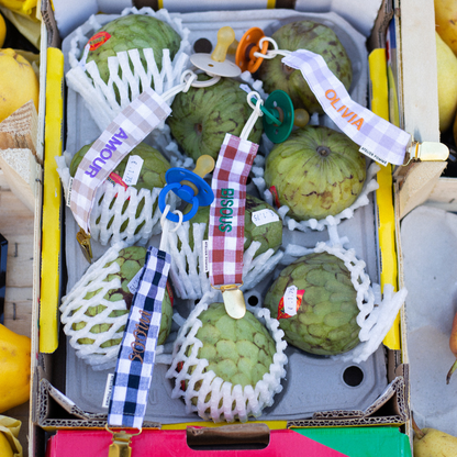 PACIFIER CORD CHECKED | MISTER MARINE