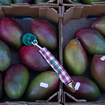 PACIFIER CORD CHECKED | BISOUS BRIQUE